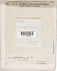 Image Associated With the Occurrence