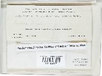 Image Associated With the Occurrence