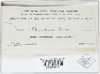 Image Associated With the Occurrence