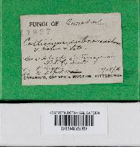 Image Associated With the Occurrence