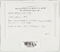 Image Associated With the Occurrence