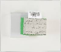 Lentinellus ursinus image