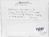 Image Associated With the Occurrence
