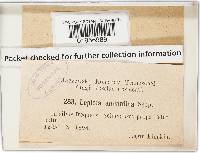 Cystoderma amianthinum image