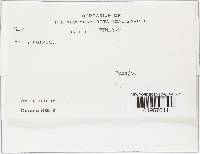 Image Associated With the Occurrence