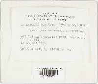 Image Associated With the Occurrence