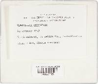 Image Associated With the Occurrence