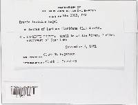 Image Associated With the Occurrence