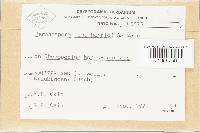 Image Associated With the Occurrence