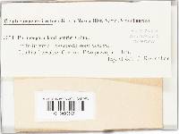 Image Associated With the Occurrence