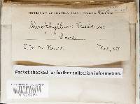 Image Associated With the Occurrence