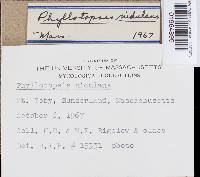 Image Associated With the Occurrence