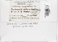 Image Associated With the Occurrence