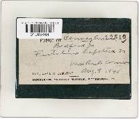 Image Associated With the Occurrence