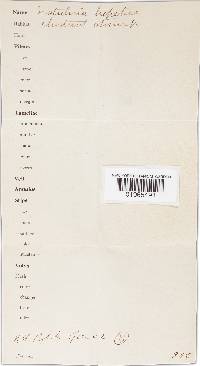 Image Associated With the Occurrence