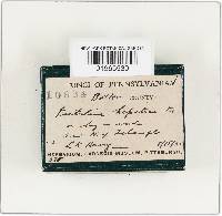 Image Associated With the Occurrence