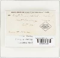 Image Associated With the Occurrence