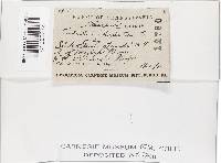 Image Associated With the Occurrence