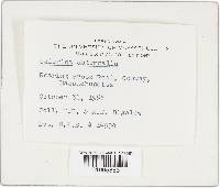 Image Associated With the Occurrence