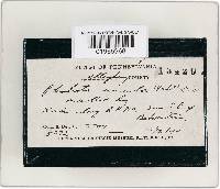 Image Associated With the Occurrence