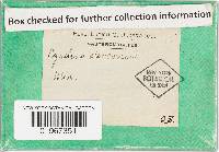 Cyathus stercoreus image