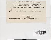 Image Associated With the Occurrence