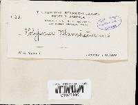 Image Associated With the Occurrence