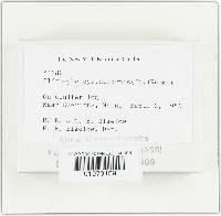 Image Associated With the Occurrence