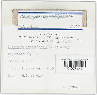 Image Associated With the Occurrence