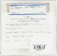 Image Associated With the Occurrence