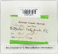 Image Associated With the Occurrence