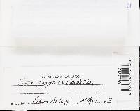 Image Associated With the Occurrence