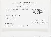 Image Associated With the Occurrence