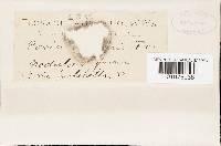 Image Associated With the Occurrence