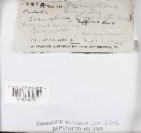 Image Associated With the Occurrence