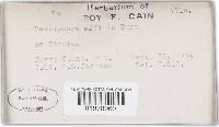 Image Associated With the Occurrence