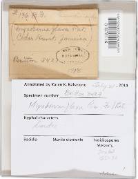 Image Associated With the Occurrence