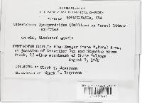 Image Associated With the Occurrence