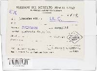 Trametes villosa image