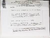 Thumbnail image of current specimen