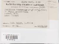 Image Associated With the Occurrence