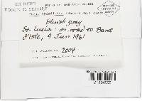 Image Associated With the Occurrence