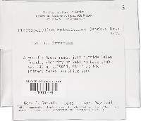 Image Associated With the Occurrence