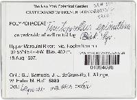 Image Associated With the Occurrence