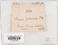 Image Associated With the Occurrence