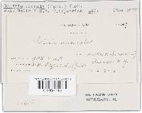 Cyphellopsis anomala image