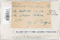 Image Associated With the Occurrence