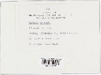 Lepiota cristata image