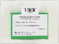 Lepiota cristata image