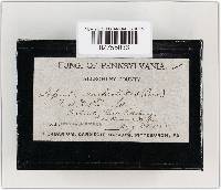 Image Associated With the Occurrence